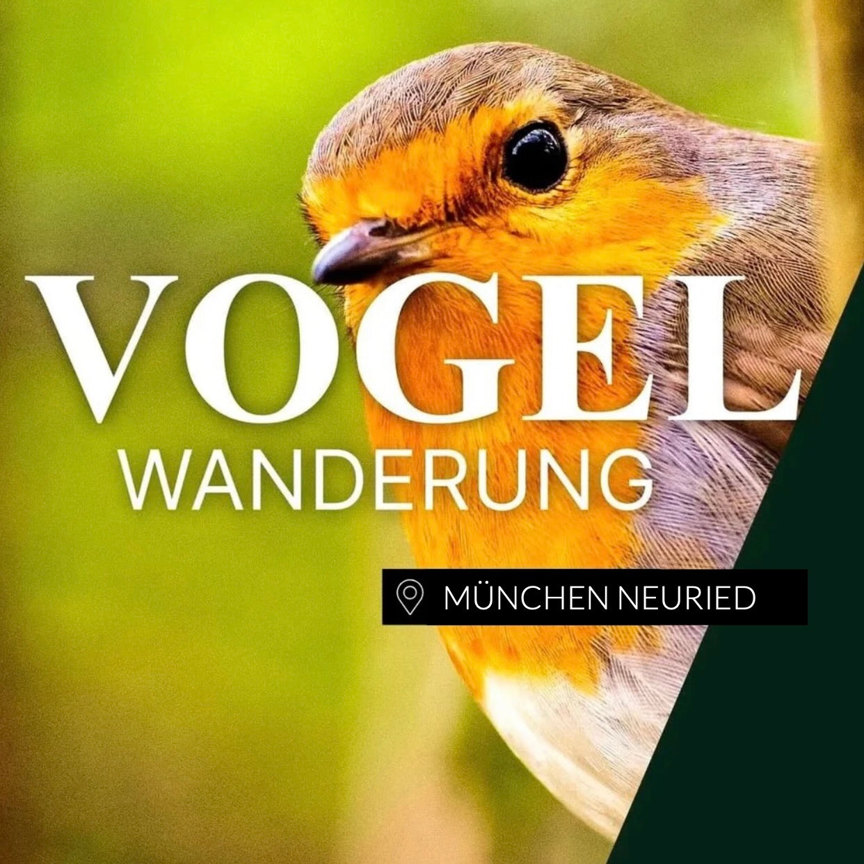 Vogelwanderung München Neuried