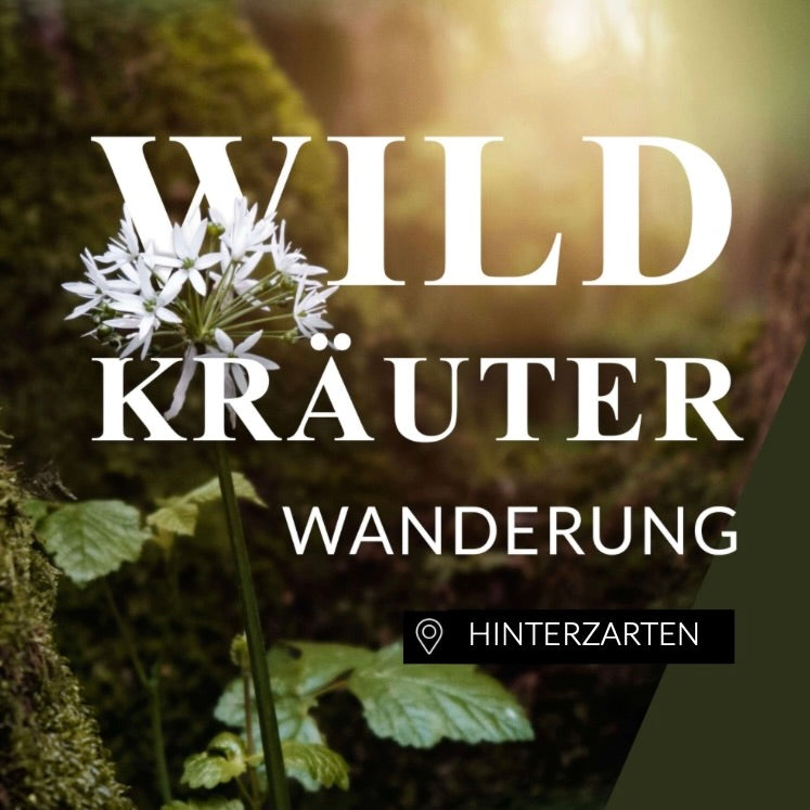 Wildkräuterwanderung Hinterzarten