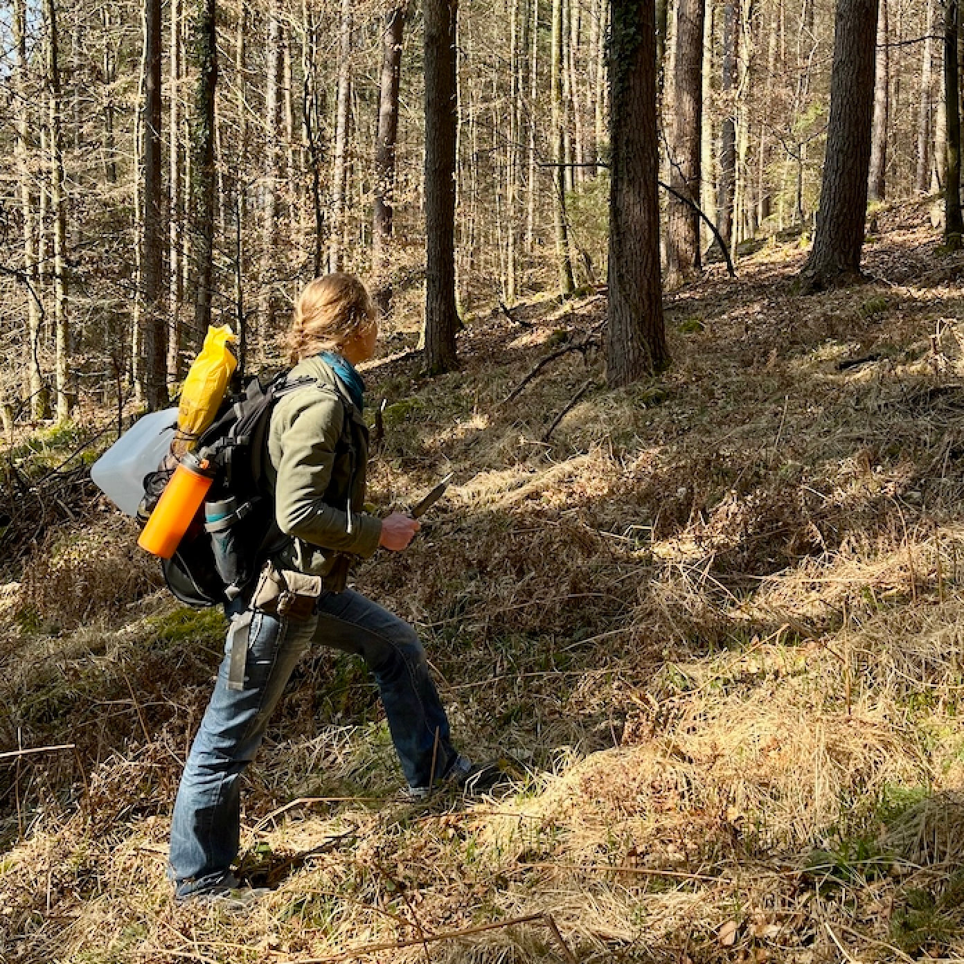 Survival Nürnberg
