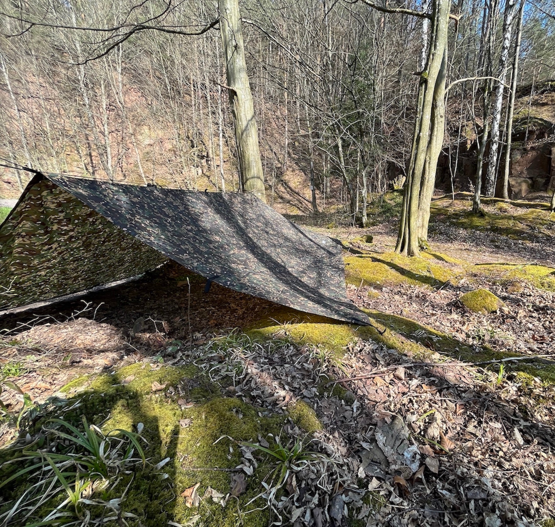 Survival Nürnberg