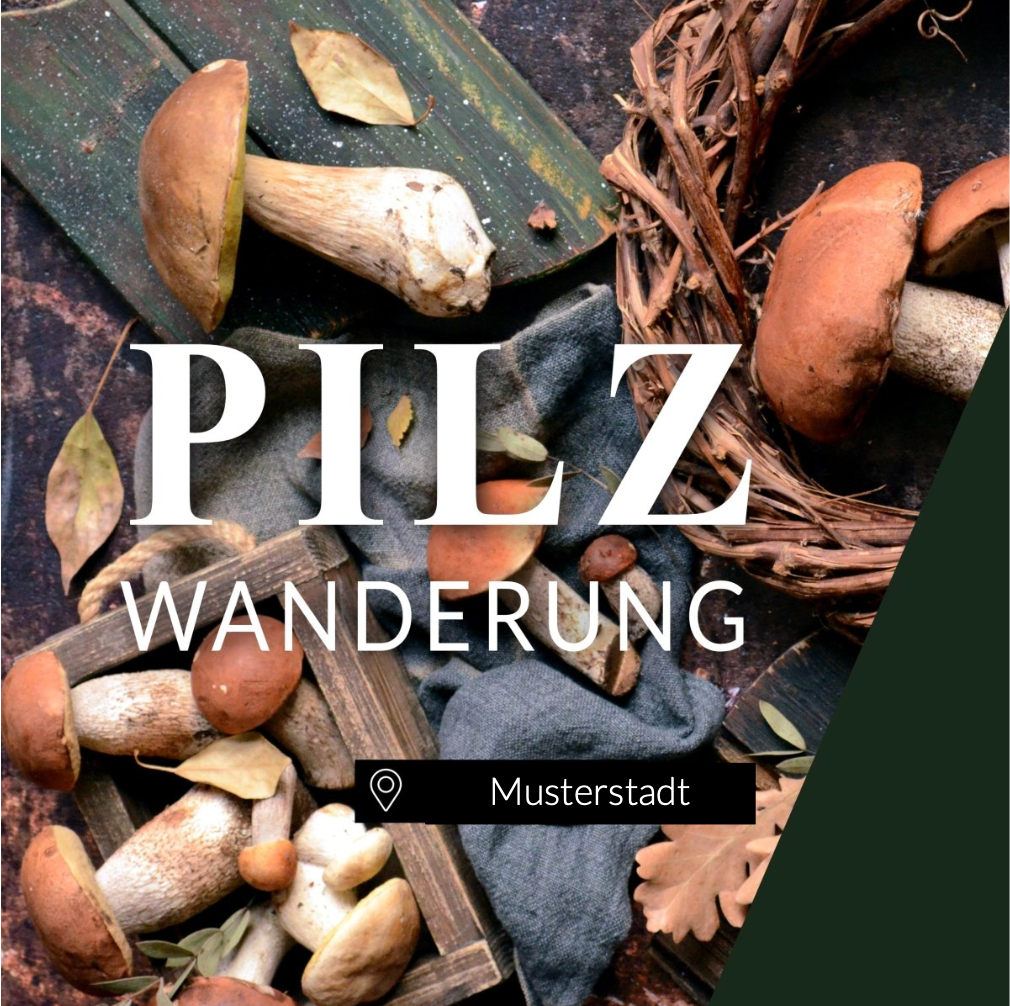Pilzwanderung Musterstadt