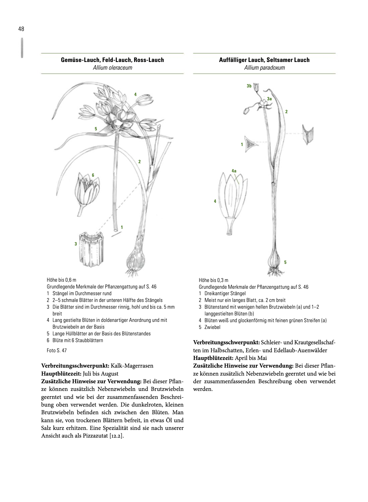 Enzyklopädie Essbare Wildpflanzen - 2000 Pflanzen Mitteleuropas