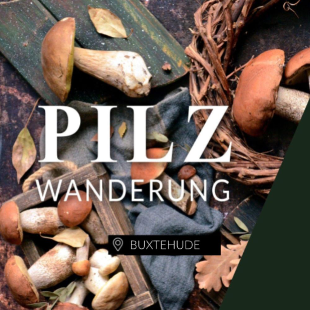 Pilzwanderung Buxtehude