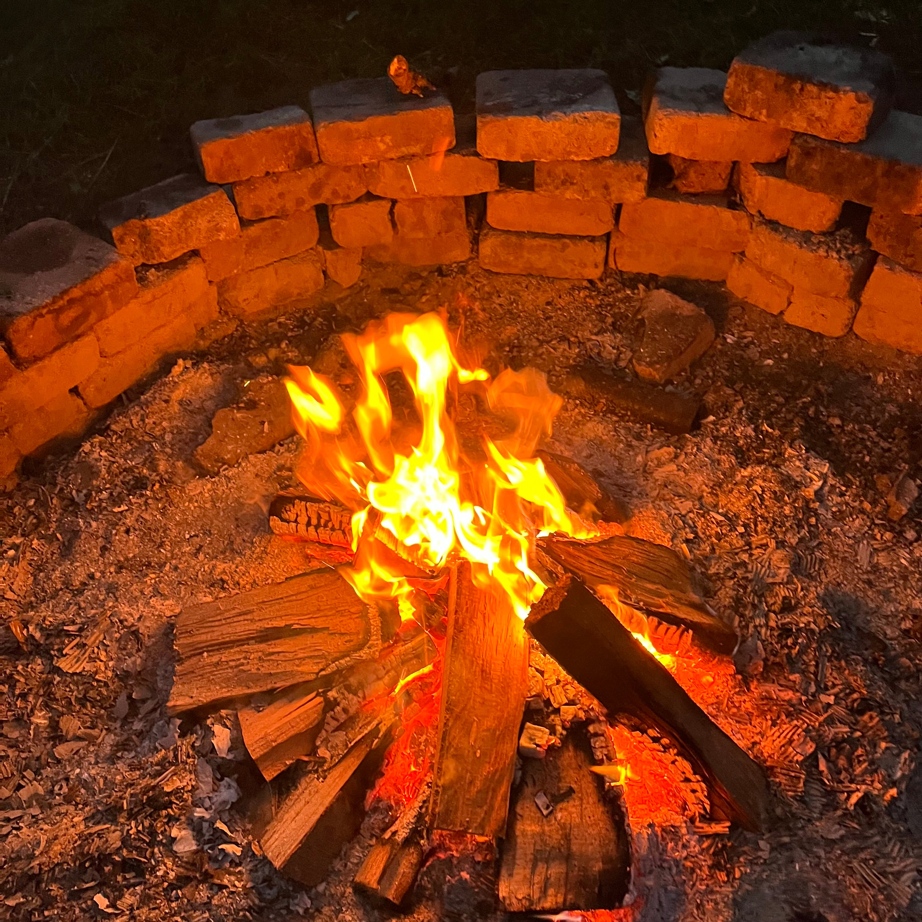 Schnitzkurs im Wald Hamburg