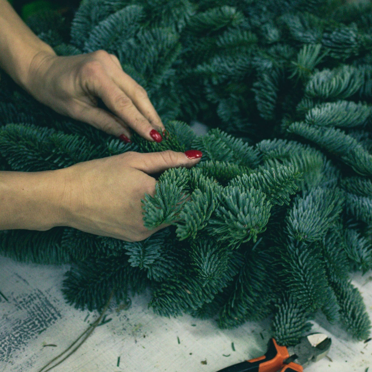 Hände binden frisches Tannengrün zu einem Adventskranz