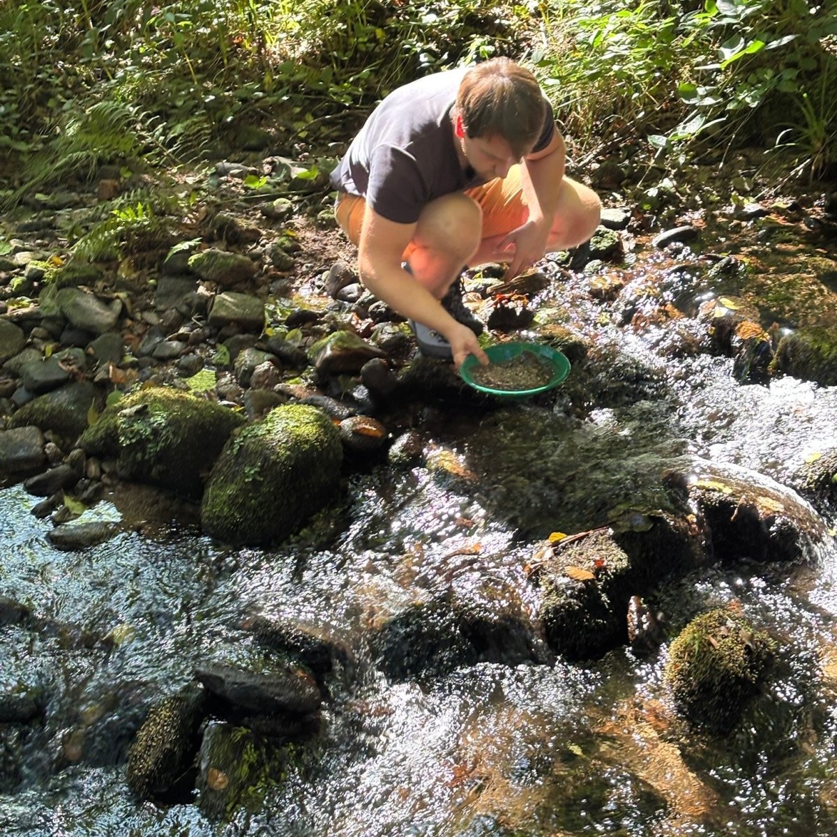 Goldwaschen Halle (Saale)
