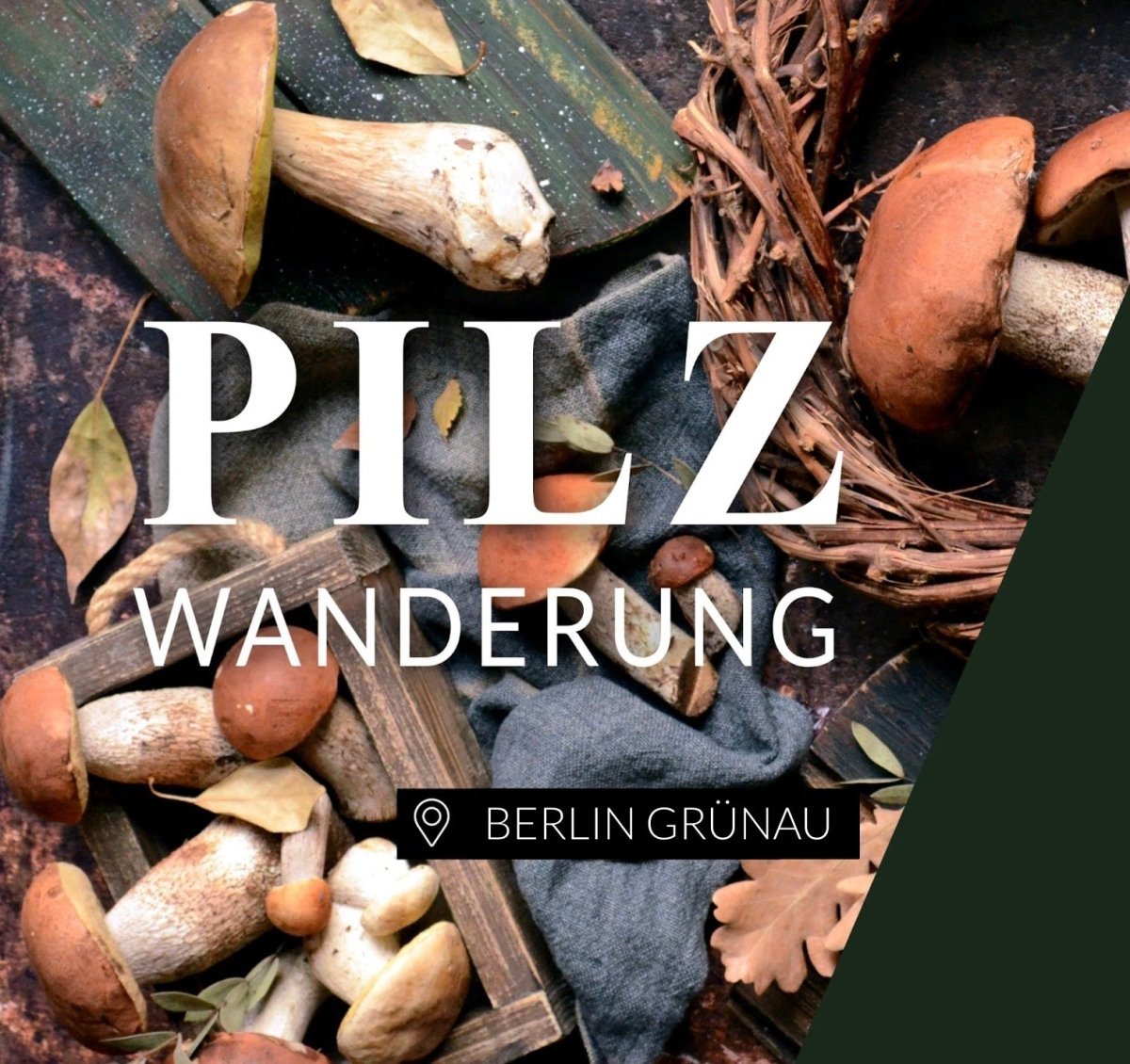 Pilzwanderung Berlin Grünau