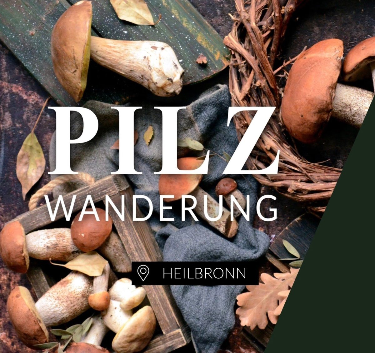 Pilzwanderung Heilbronn