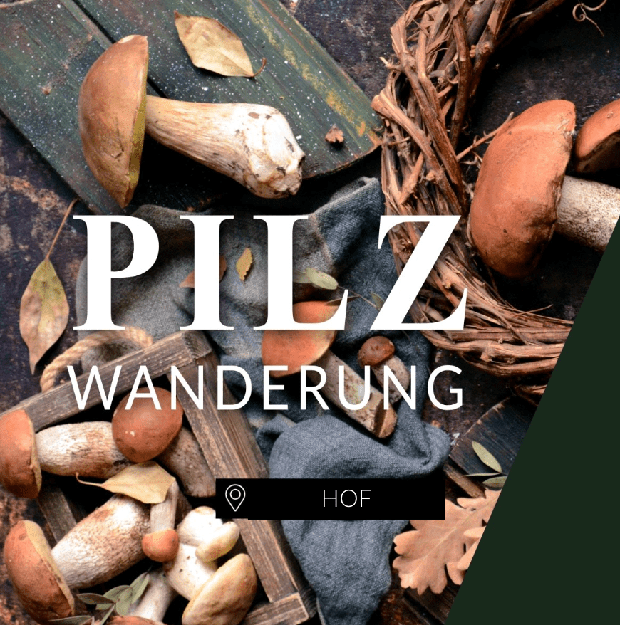 Pilzwanderung Hof