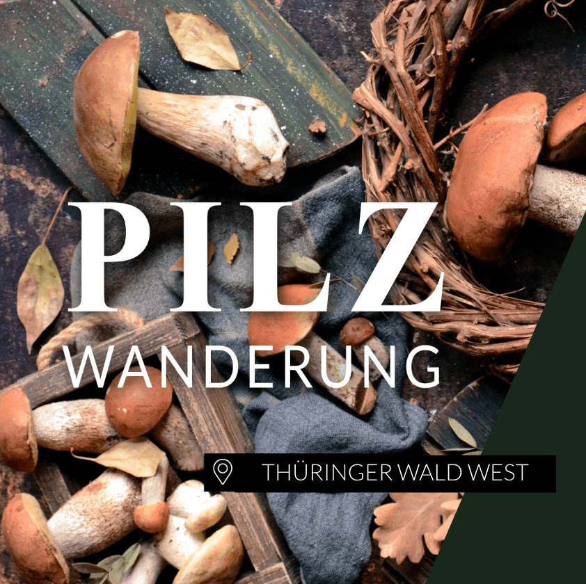 Pilzwanderung Thüringer Wald West