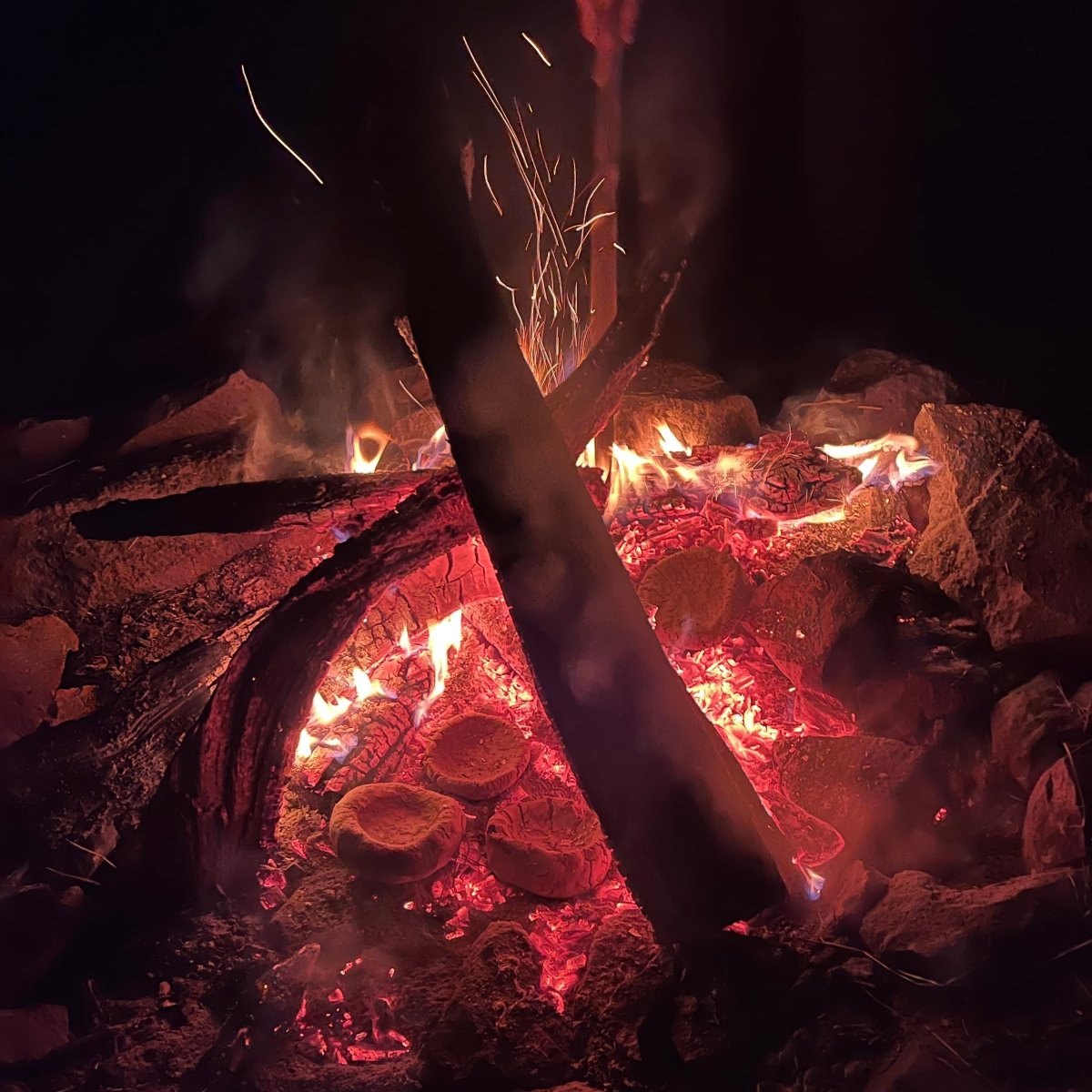 Ganztägiges Survivaltraining Nürnberg