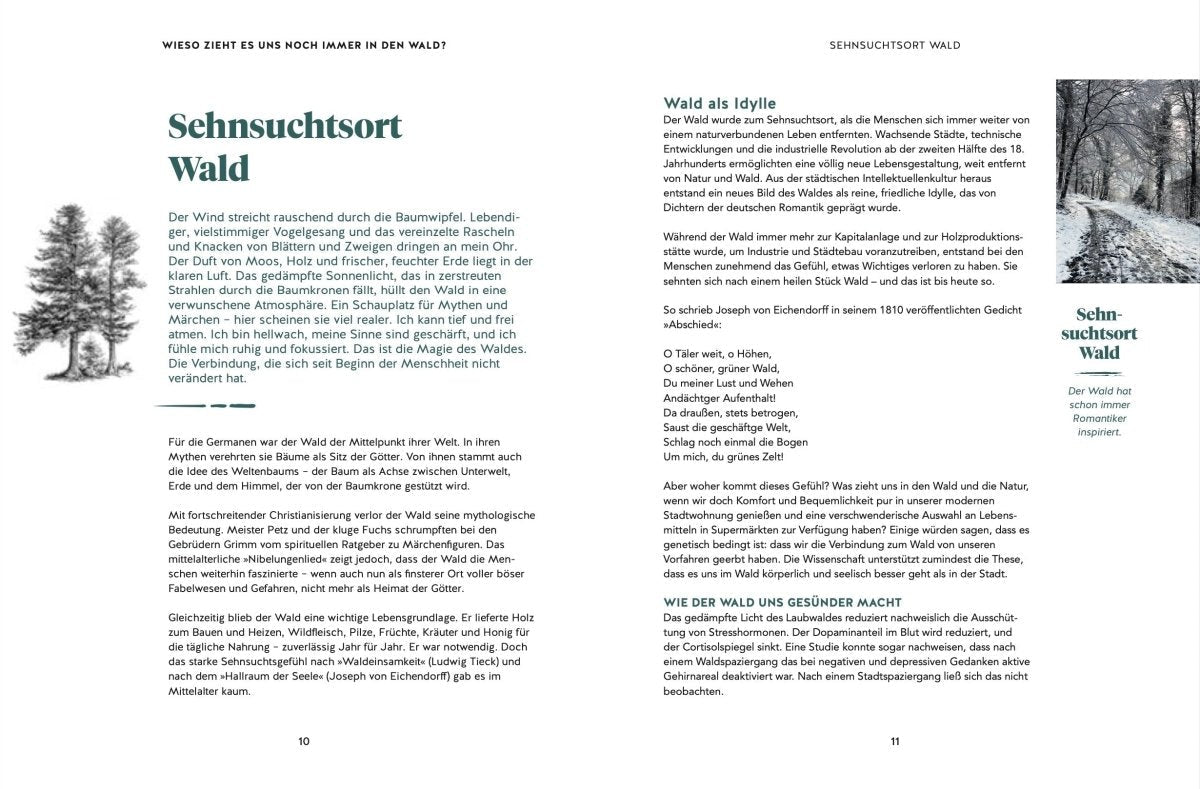 Unser Buch: Abenteuer Wald