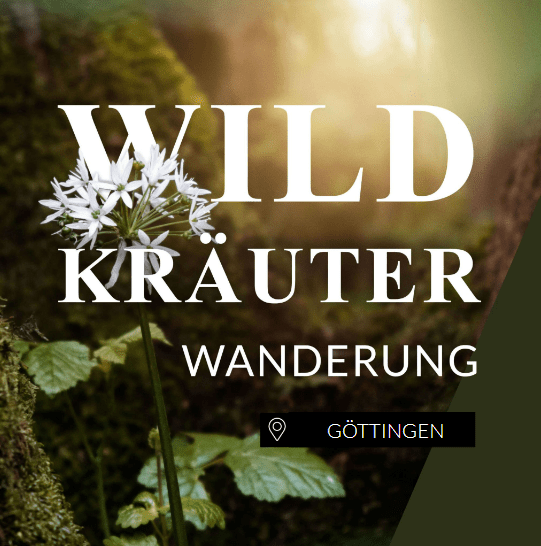 Wildkräuterwanderung Göttingen