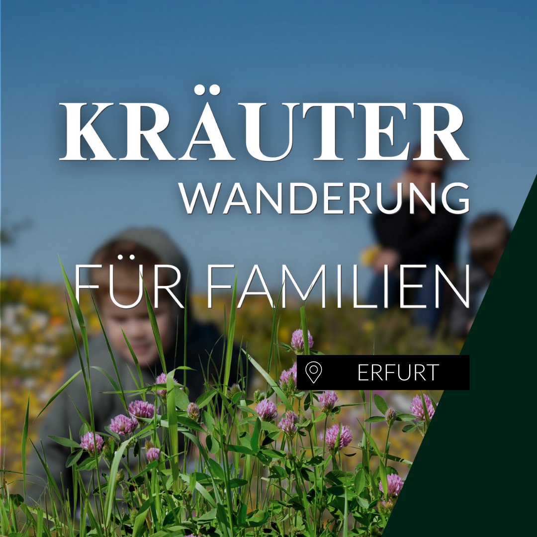 Kräuterwanderung für Familien Erfurt
