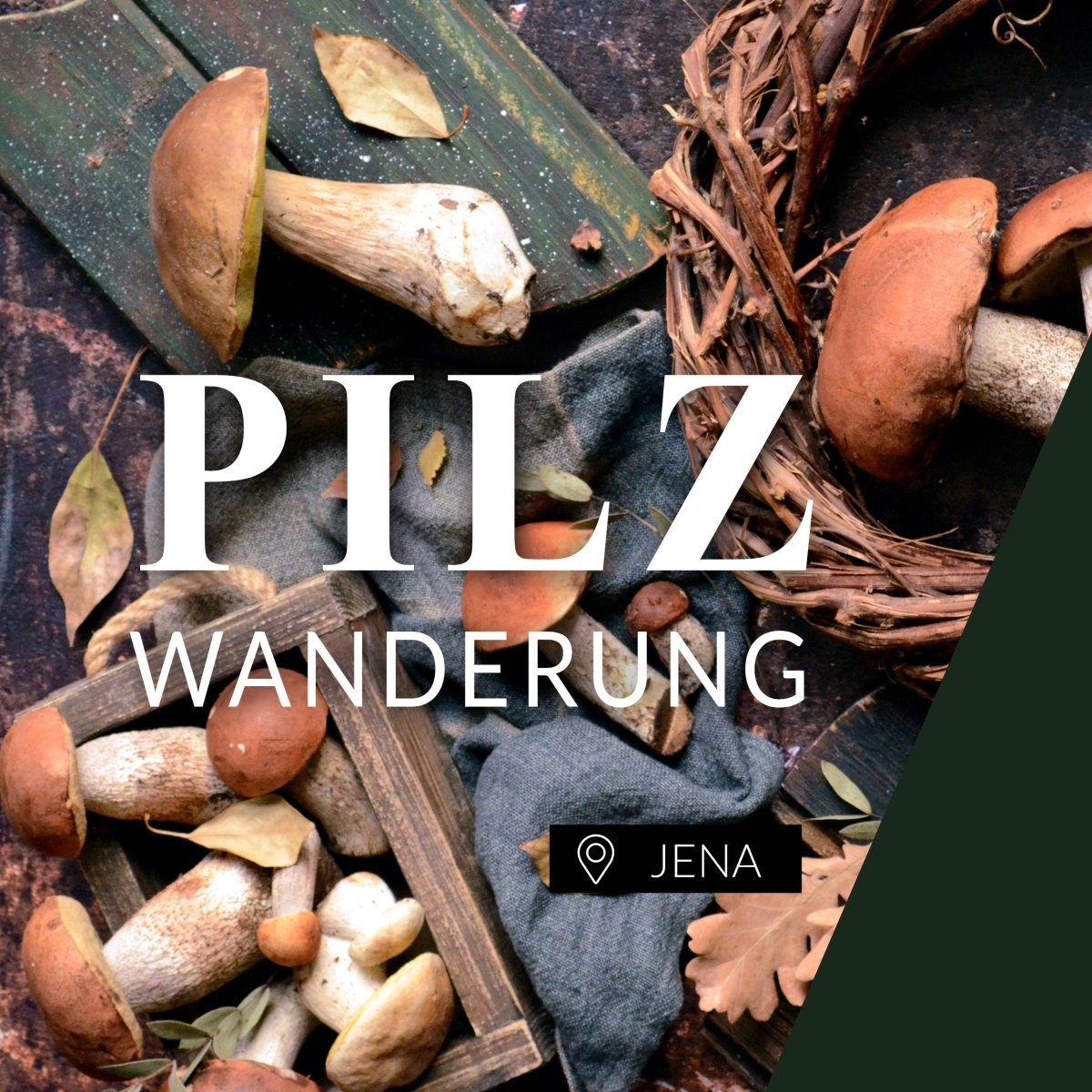 Pilzwanderung Jena