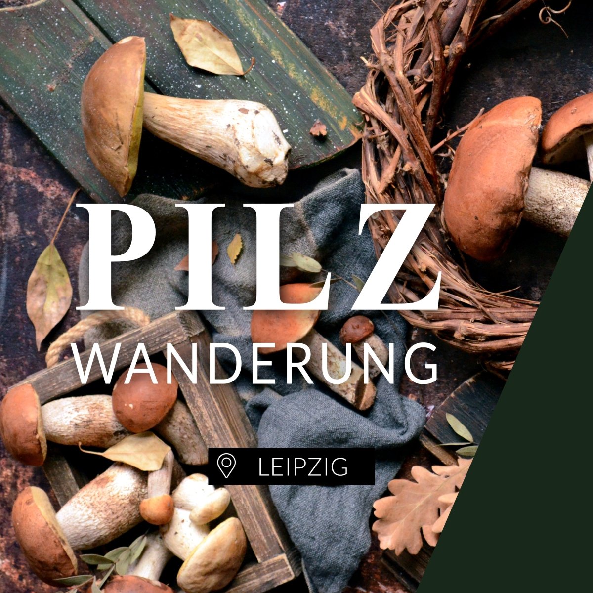 Pilzwanderung Leipzig