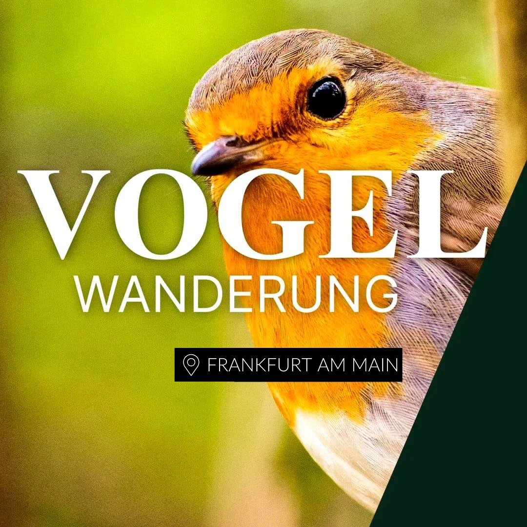 Vogelwanderung Frankfurt