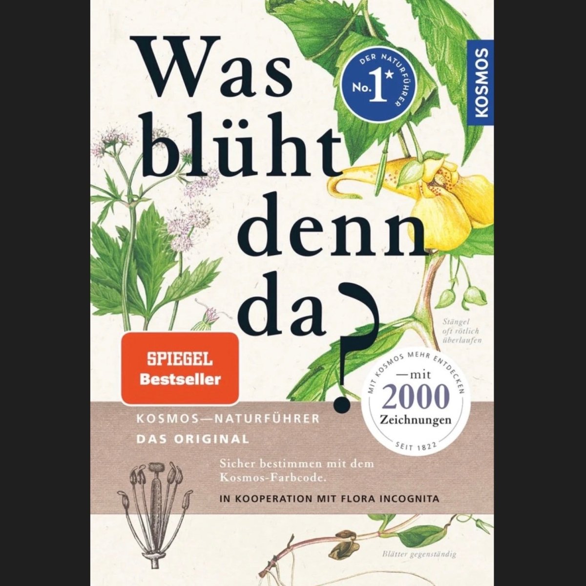 Wildkräuterbuch: Was blüht denn da?