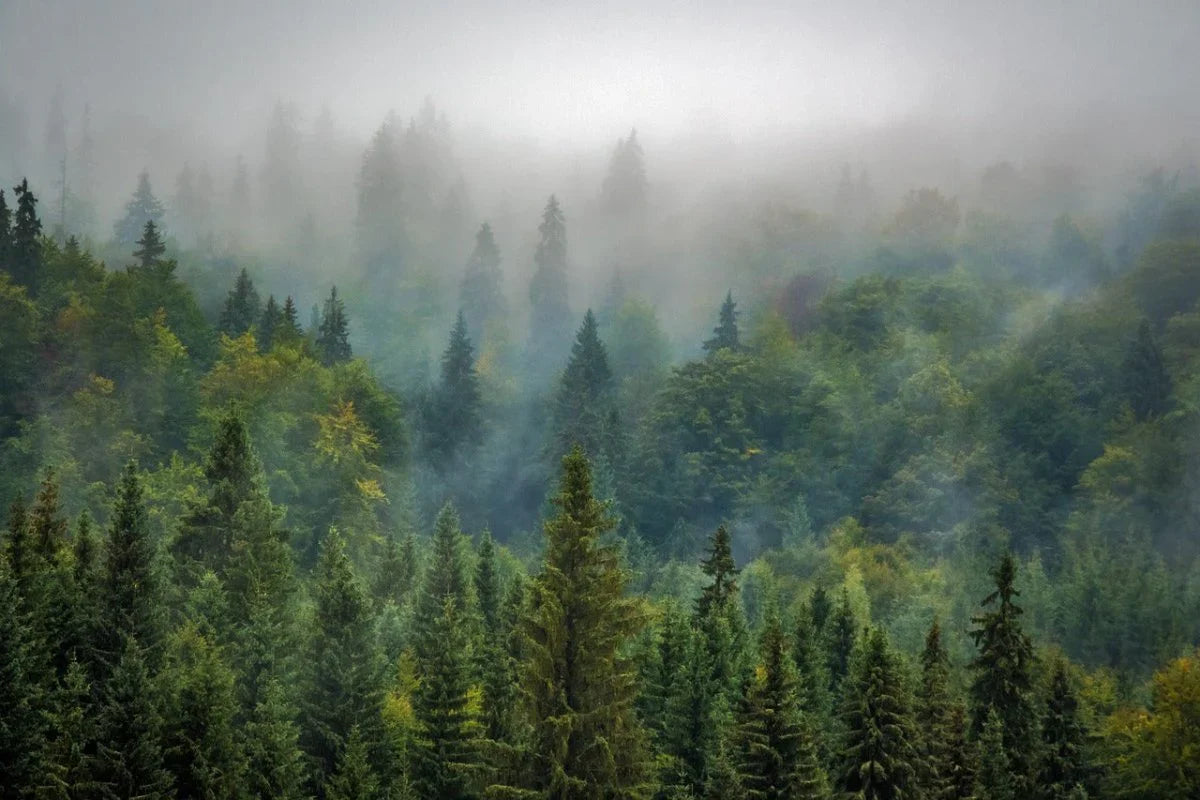 Oberbergisches Land