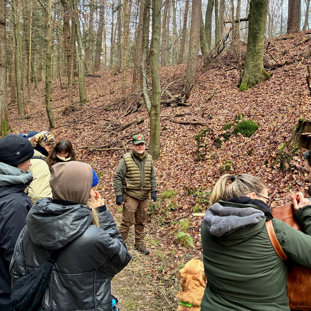 Winterpilzwanderung Lüneburger Geest