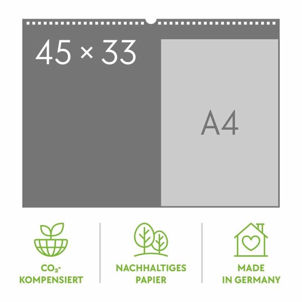 Pilze Kalender 2026 - Vielfalt am Waldboden