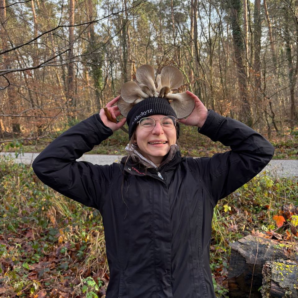 Winterpilzwanderung Lüneburger Geest