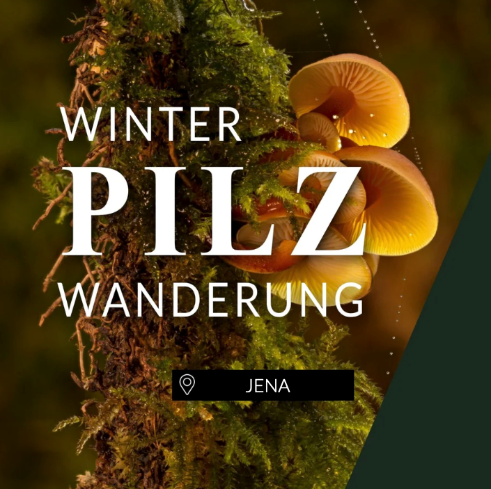 Winterpilzwanderung Jena