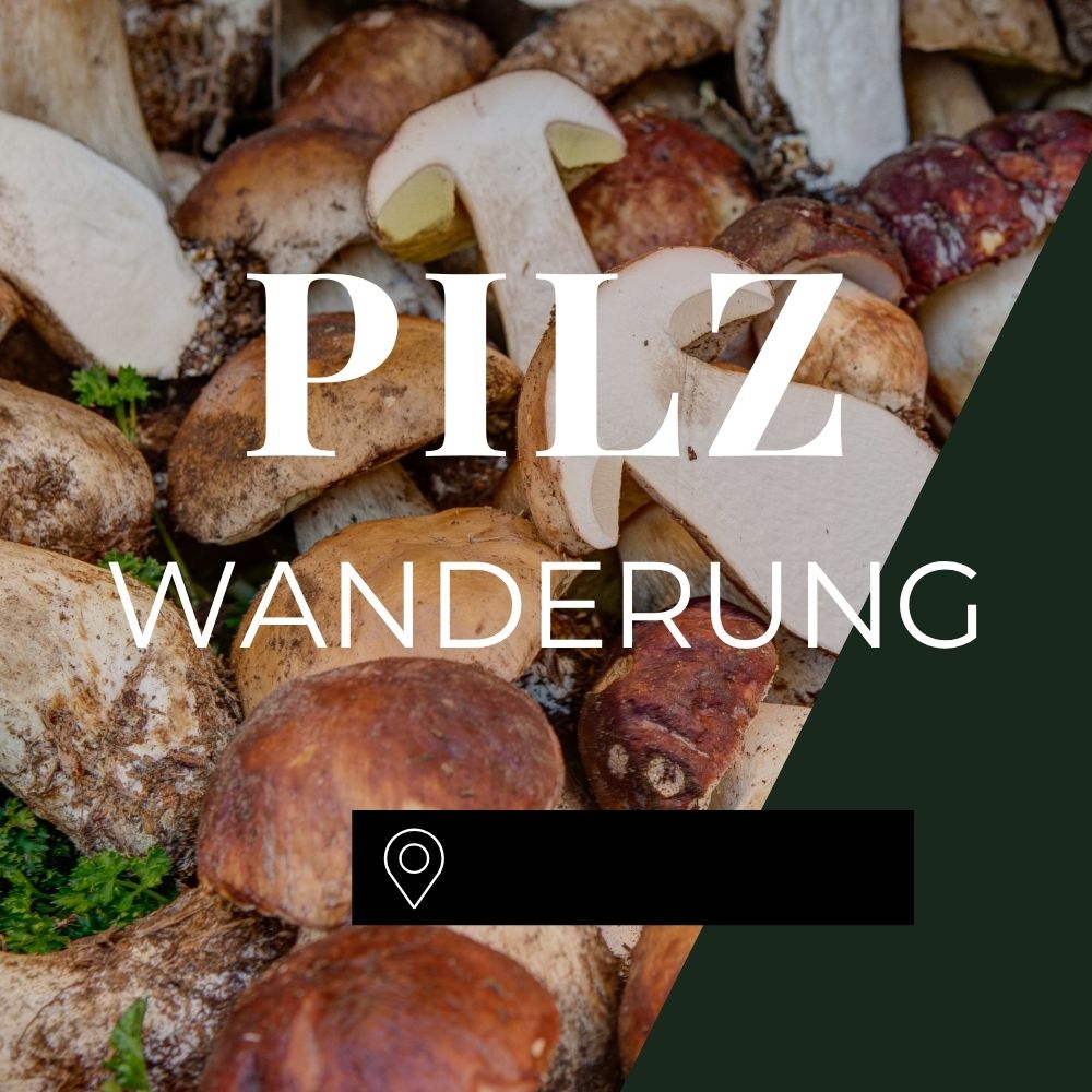 Pilzwanderung Bremen Ost