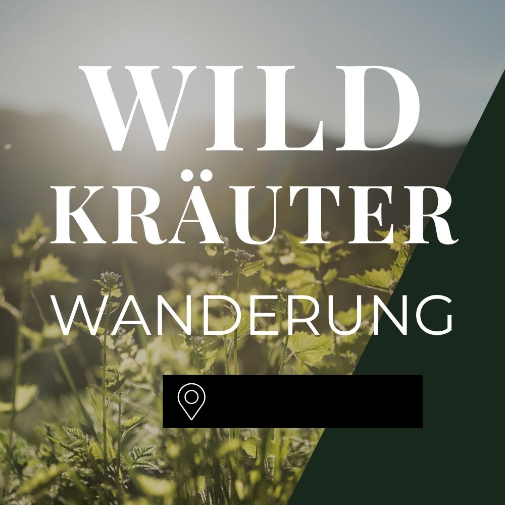 Wildkräuterwanderung Bremen Ost