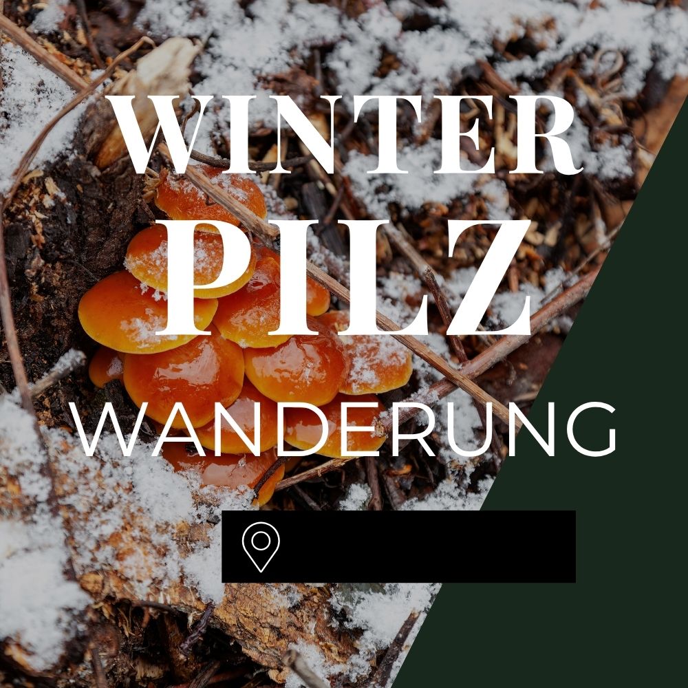 Winterpilzwanderung München Unterhaching