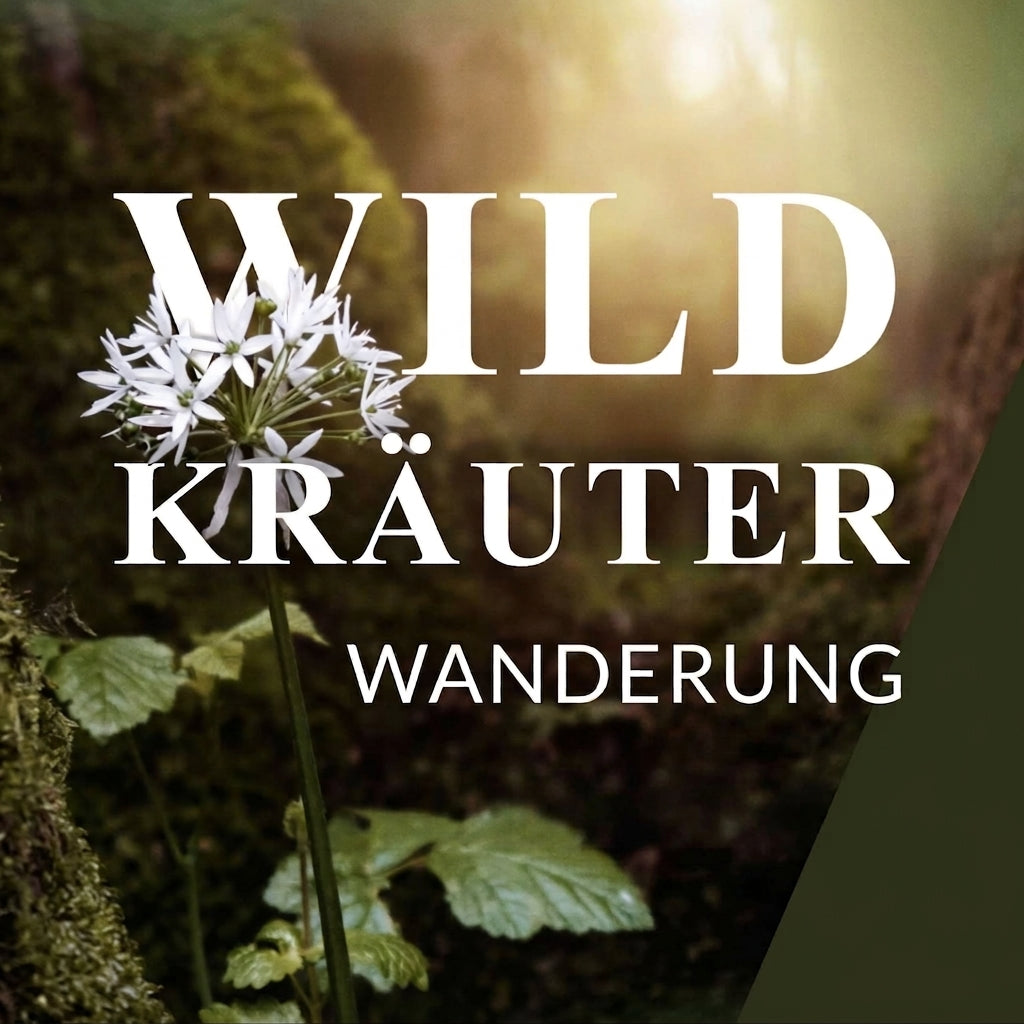 Wildkräuterwanderung Bremen Ost