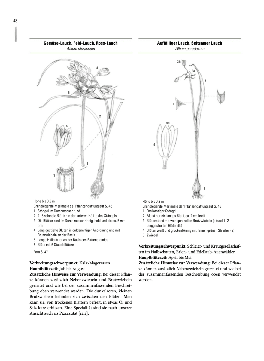 Enzyklopädie Essbare Wildpflanzen - 2000 Pflanzen Mitteleuropas