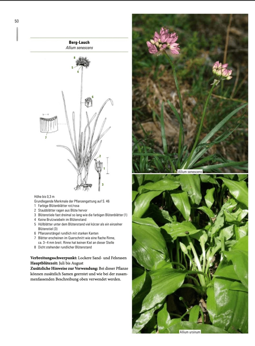 Enzyklopädie Essbare Wildpflanzen - 2000 Pflanzen Mitteleuropas