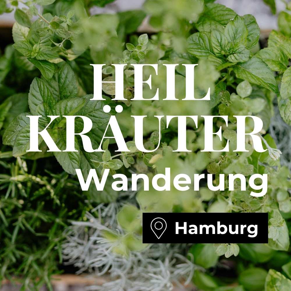 Heilkräuterwanderung Hamburg