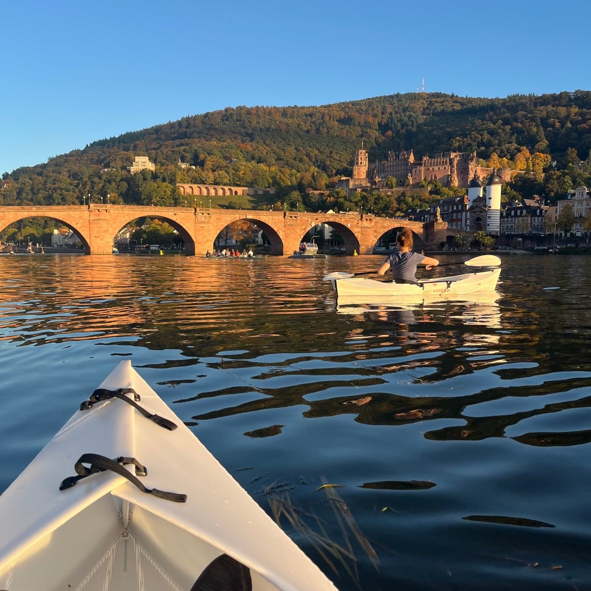 Kanutour Heidelberg