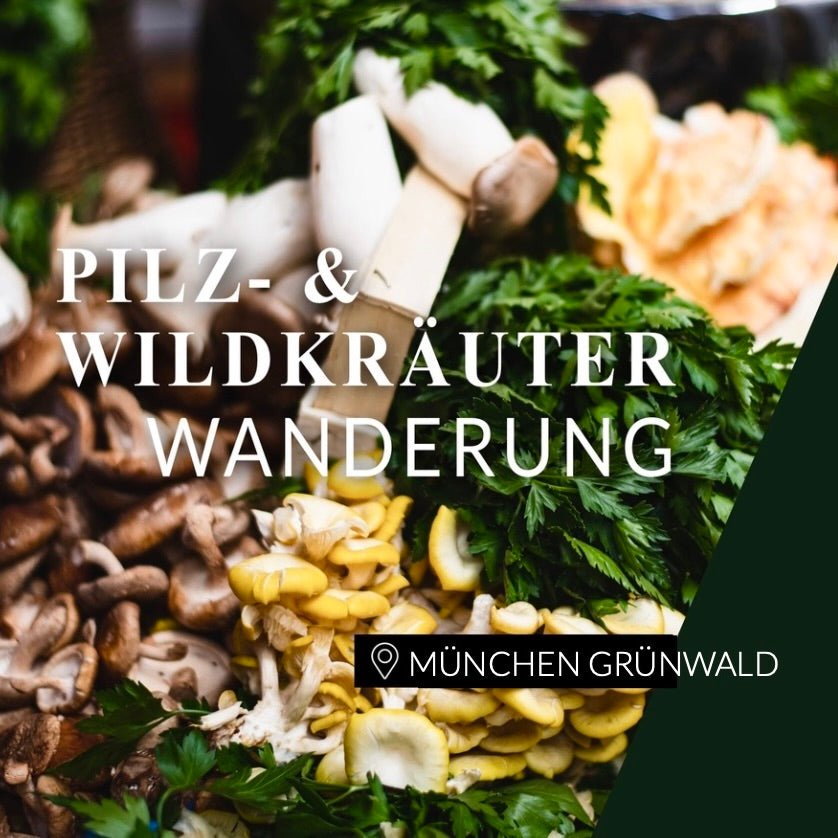 Pilz- und Kräuterwanderung München Grünwald
