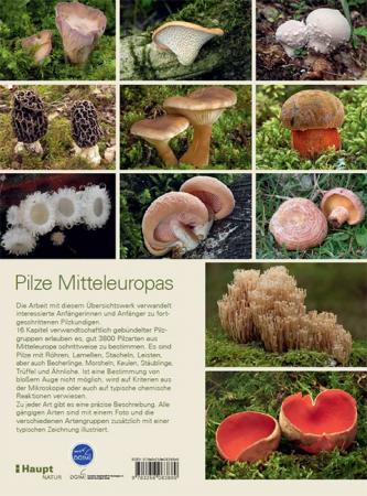 Pilze Mitteleuropas: 3800 Pilzarten schrittweise bestimmen