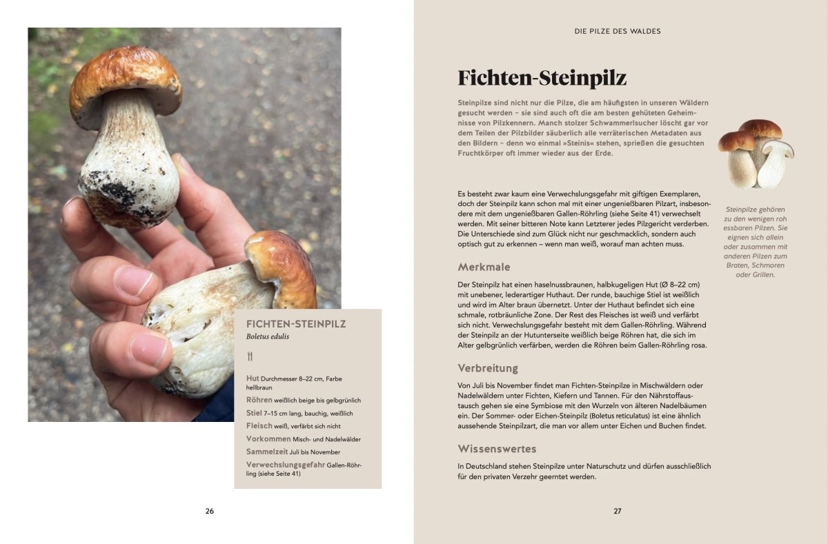 Unser Buch: Abenteuer Wald