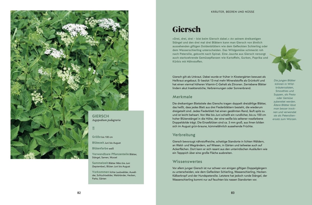 Unser Buch: Abenteuer Wald