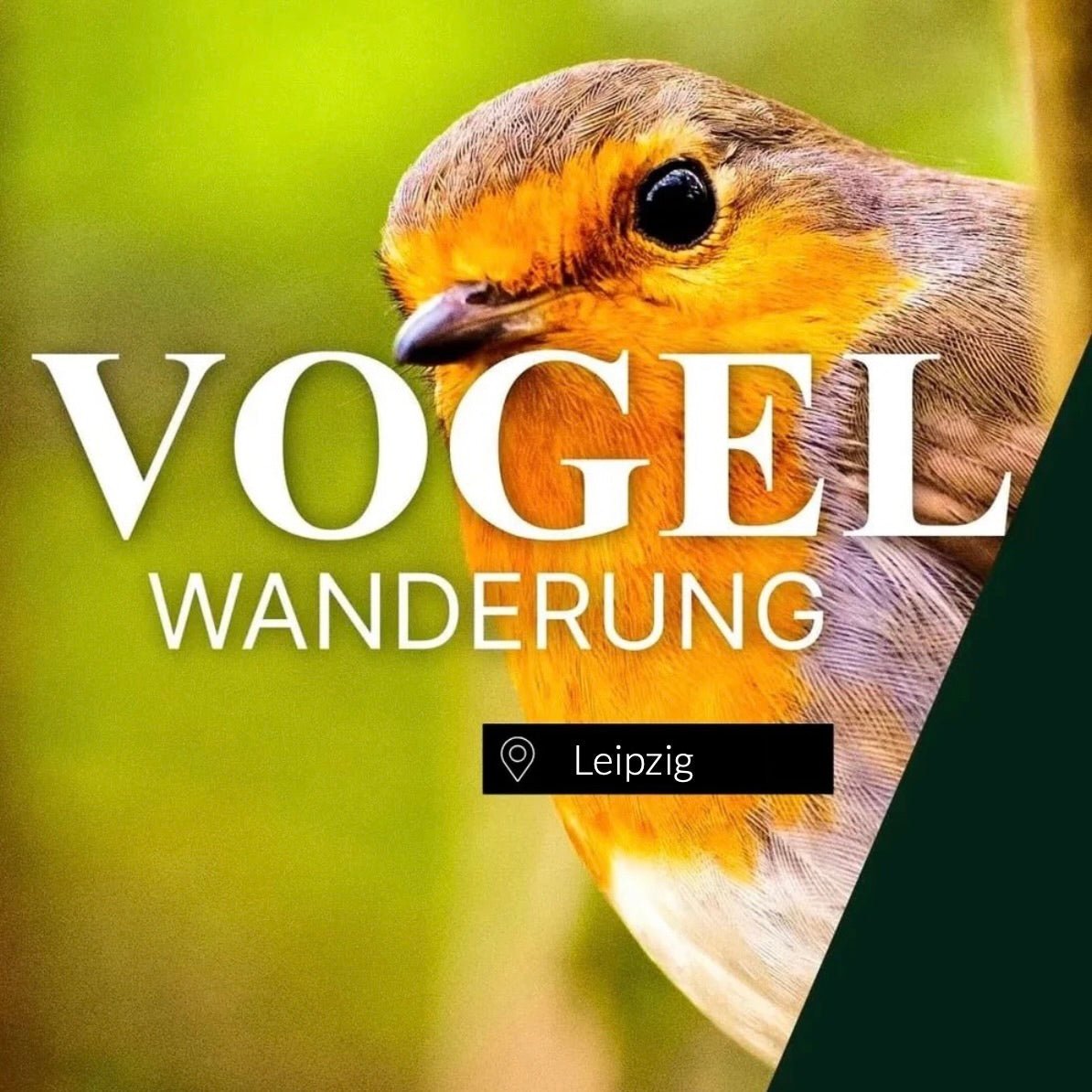 Vogelwanderung Leipzig
