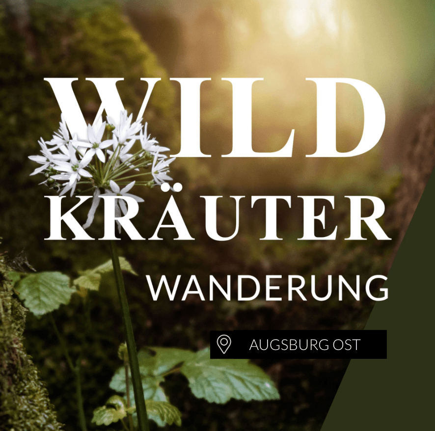 Wildkräuterwanderung Augsburg Ost