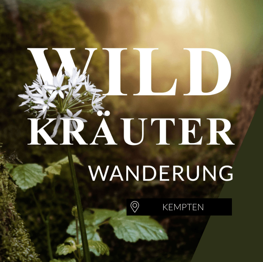 Wildkräuterwanderung Kempten