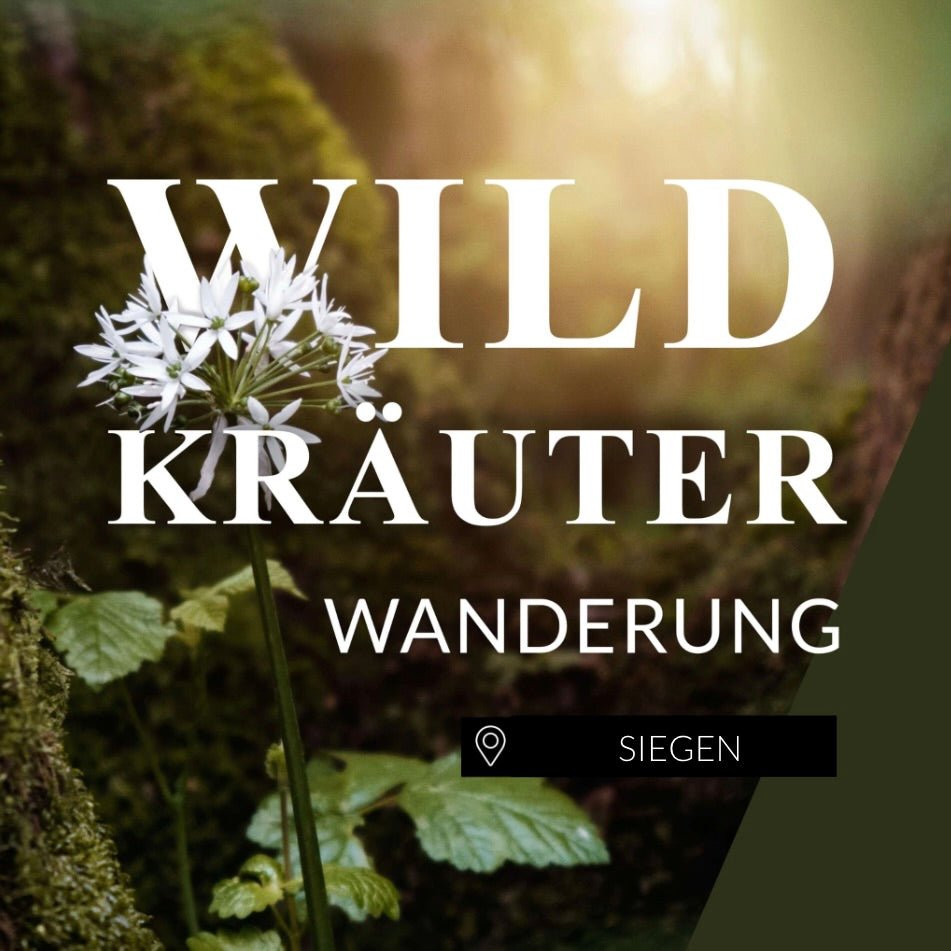 Wildkräuterwanderung Siegen