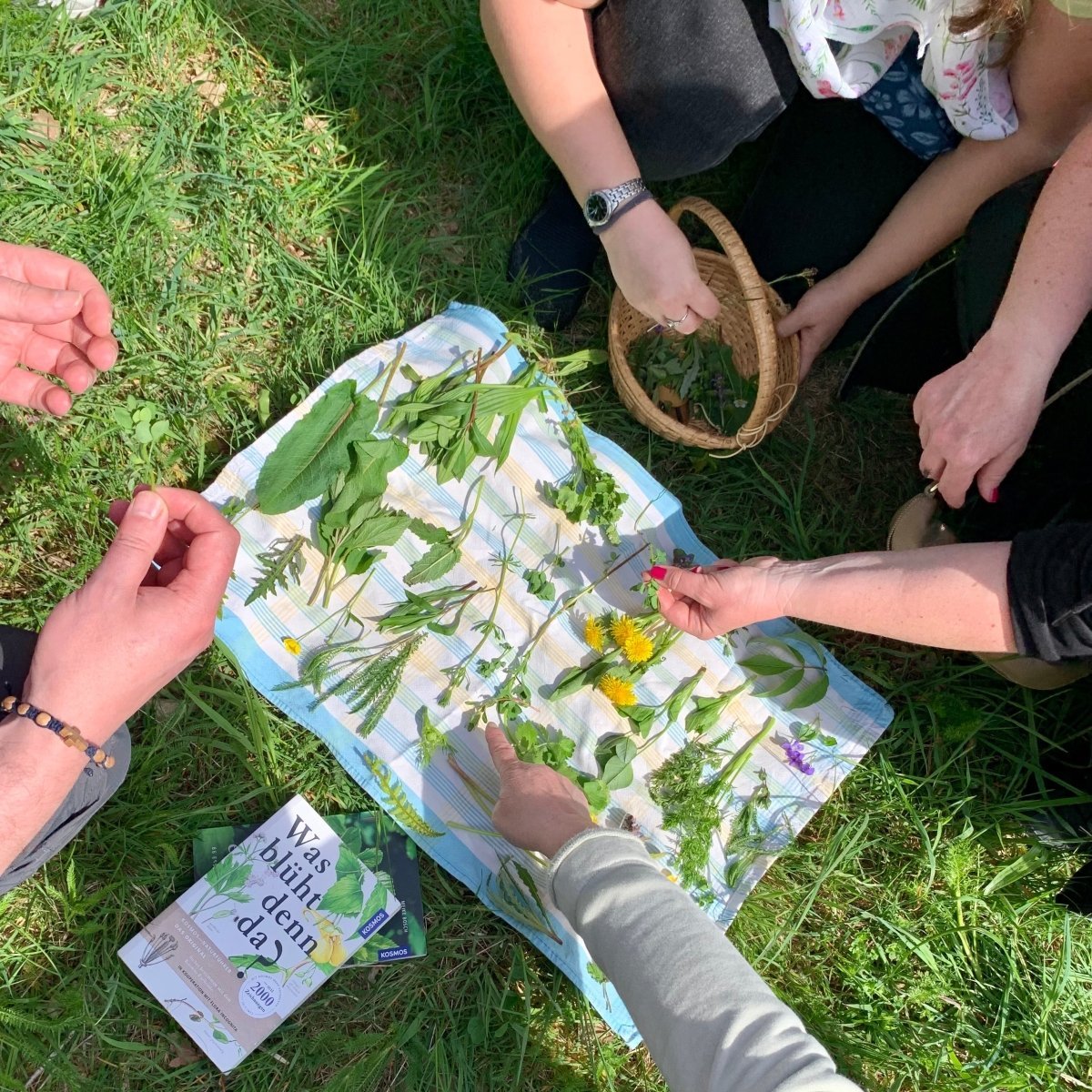 Wildkräuterwanderung Mannheim