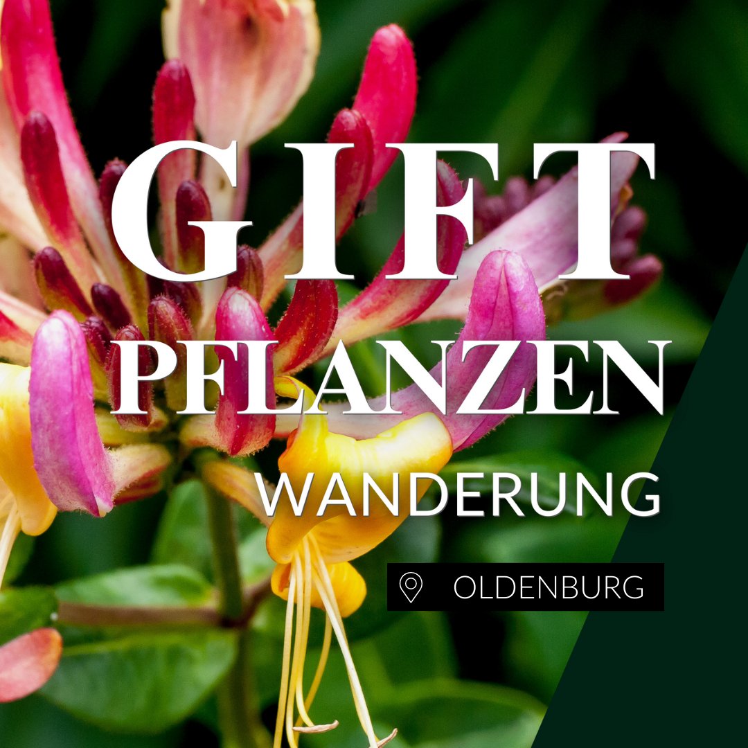 Giftpflanzenwanderung Oldenburg