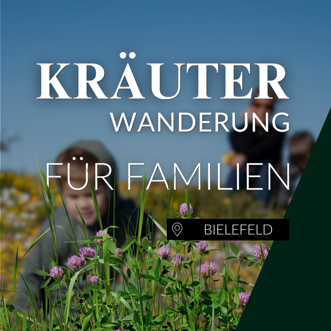 Kräuterwanderung für Familien Bielefeld