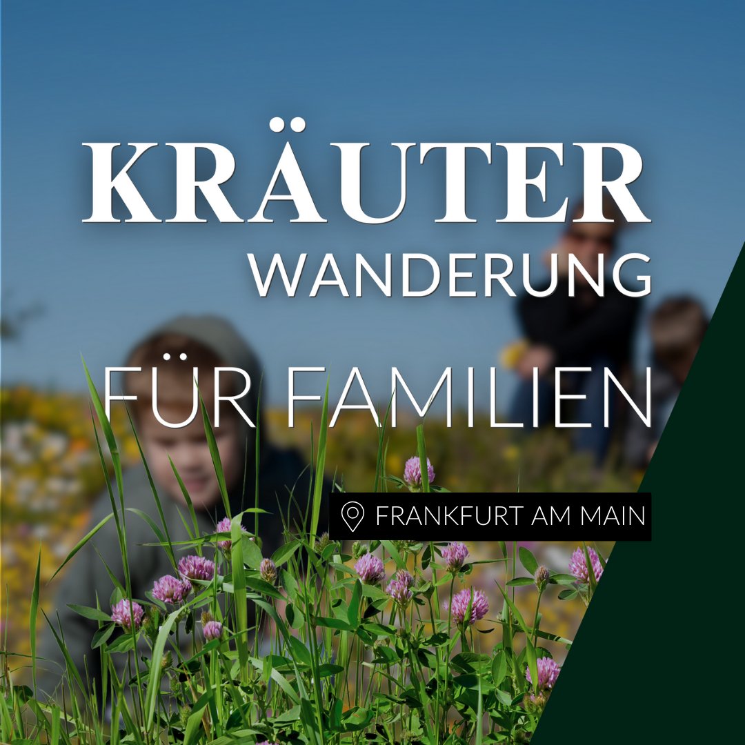 Kräuterwanderung für Familien Frankfurt