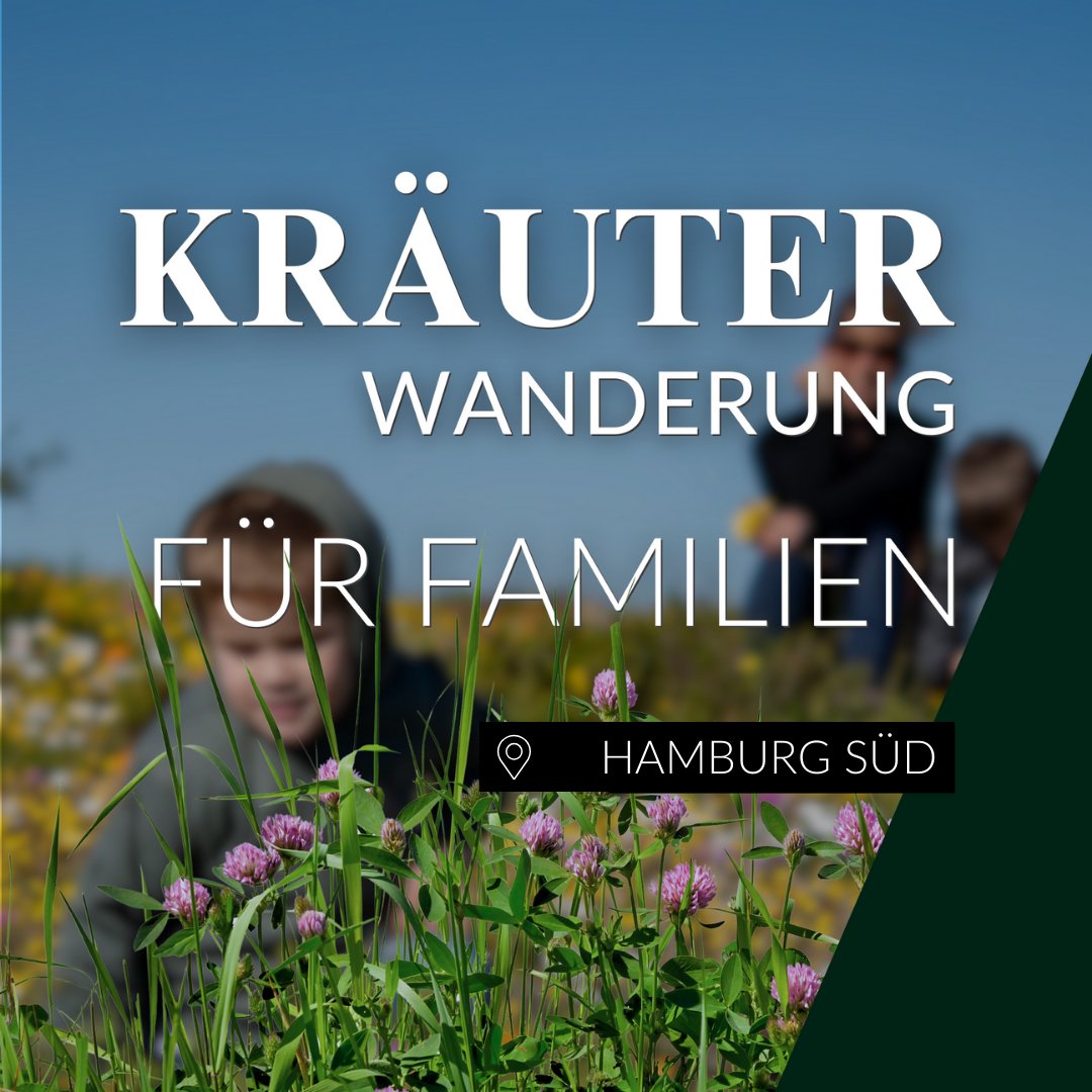 Kräuterwanderung für Familien Hamburg Süd