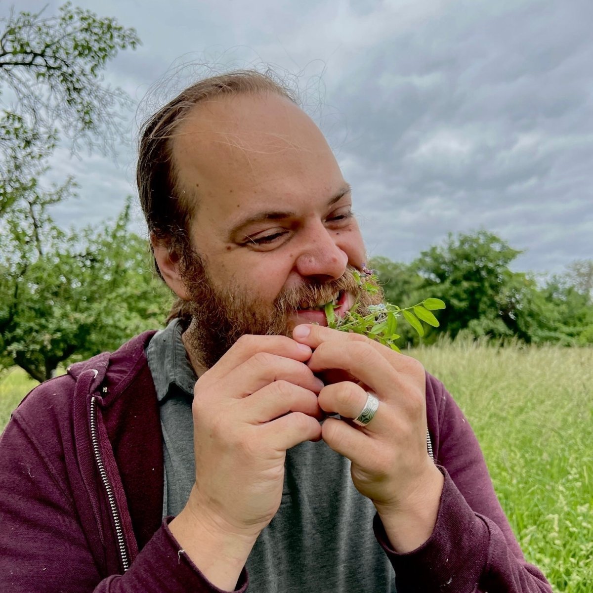 Pilz- und Kräuterwanderung München Grünwald