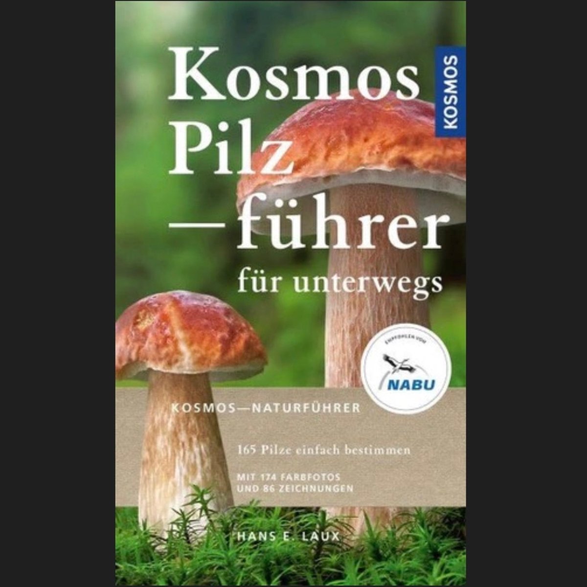 Pilzbuch: Der Pilzführer für unterwegs